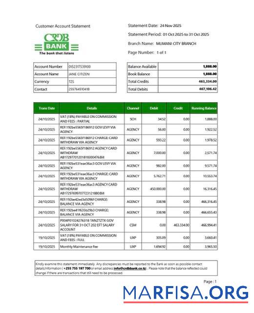 Blank Tanzania CRDB Bank account statement word version 2 example